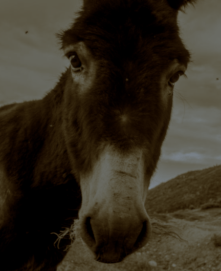 Capture d’écran 2018-02-23 à 00.38.33.png